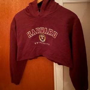 Perfect Harvard cropped hoodie
